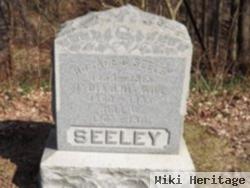 Lydia J Wallace Seeley