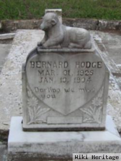 Bernard Hodge