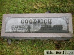 Stephen H Goodrich