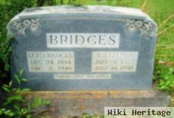 Lou Frances Nash Bridges