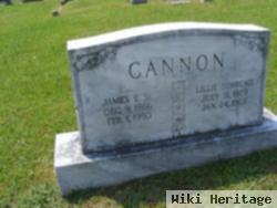 Lille Behrend Cannon