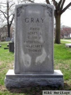 David Gray, Jr