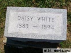 Daisy White