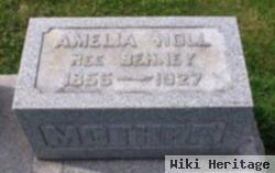 Amelia Behney Noll