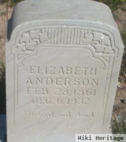 Elizabeth Anderson