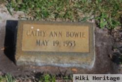 Cathy Ann Bowie