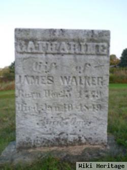 Catharine Walker