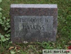 Theodore Henry Haskins
