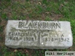 Charles H Blackburn