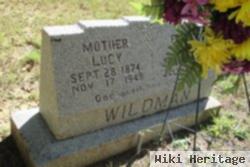 Lucy Ann Lee Wildman