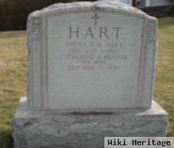 Patrick H Hart