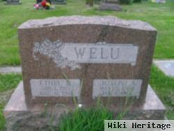 Ethyl D Welu