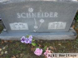 Clara P. Schneider