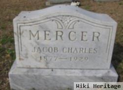 Jacob Charles Mercer