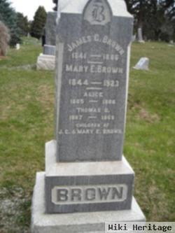 Mary Ellen Martin Brown