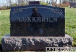 William T Lukkarila