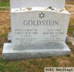 Harry Goldstein