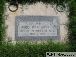 Amos Max Wood