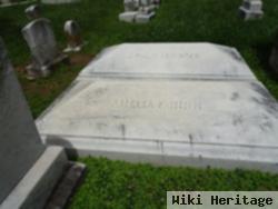 Amelia F Hihn