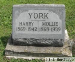 Mollie Clark York