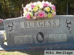 Lewis E. Burgess