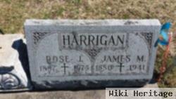 Rose J Ockert Harrigan