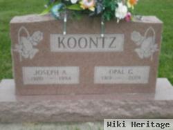 Joseph Allen Koontz