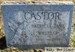 Patricia Jane Wheeler Castor