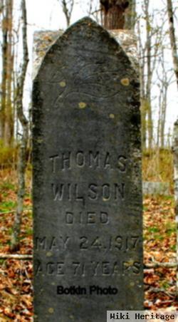 Thomas Andrew Wilson