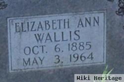 Elizabeth Ann Wallis