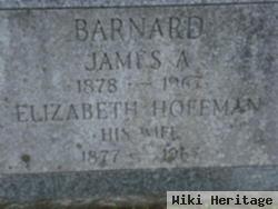 Elizabeth Hoffman Barnard