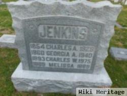 Charles W Jenkins