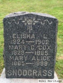 Mary Catherine Cox Snodgrass