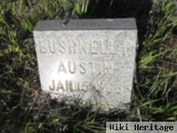 Bushnell Price Austin