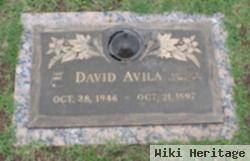 David Avila