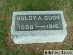 Halcy Avon Cook