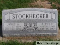 Anna Violet Riggs Stockhecker