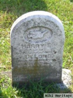 Harry E. Delong