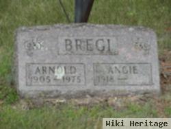 Arnold F Bregi