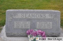 William Alonzo Seamons
