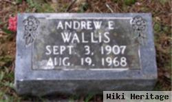 Andrew E Wallis