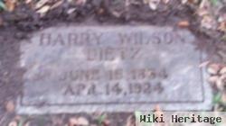 Harry Wilson Dietz