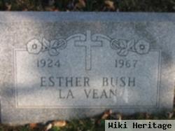 Esther M Lavean