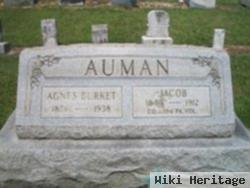 Agnes Burket Auman