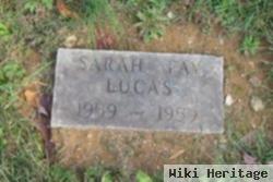 Sarah Fay Lucas