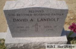 David A. Landolt
