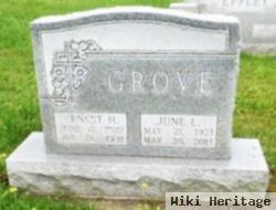 Ernest H Grove