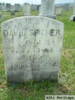 David C Spicher