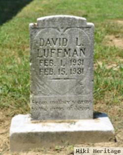 David Lee Luffman