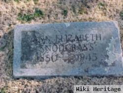 Ann Elizabeth "lizzie" Hall Snodgrass